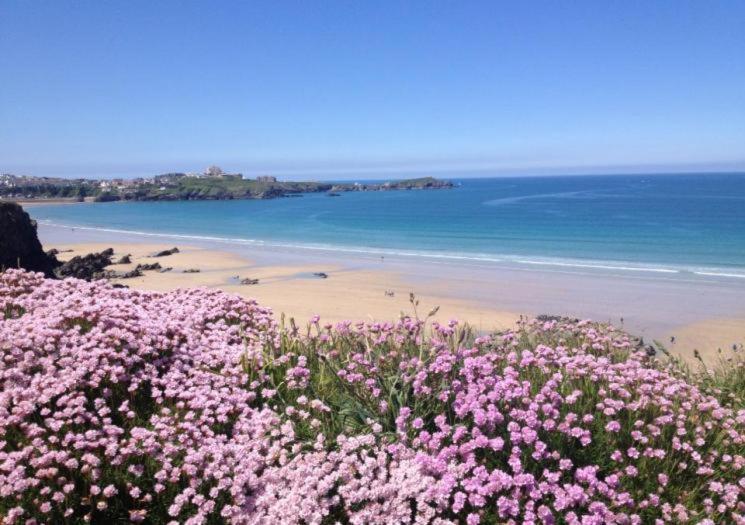 Atlantic Reach Cottages, Newquay 6 Miles, 2 Bedrooms New Quay Exterior foto