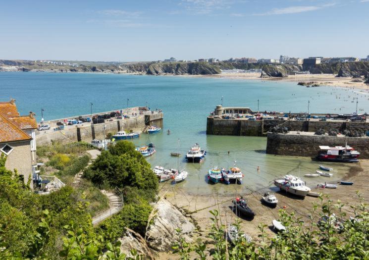 Atlantic Reach Cottages, Newquay 6 Miles, 2 Bedrooms New Quay Exterior foto